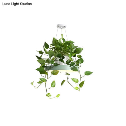 Mint green brooklyn round macaron pendant light with kitchen planter