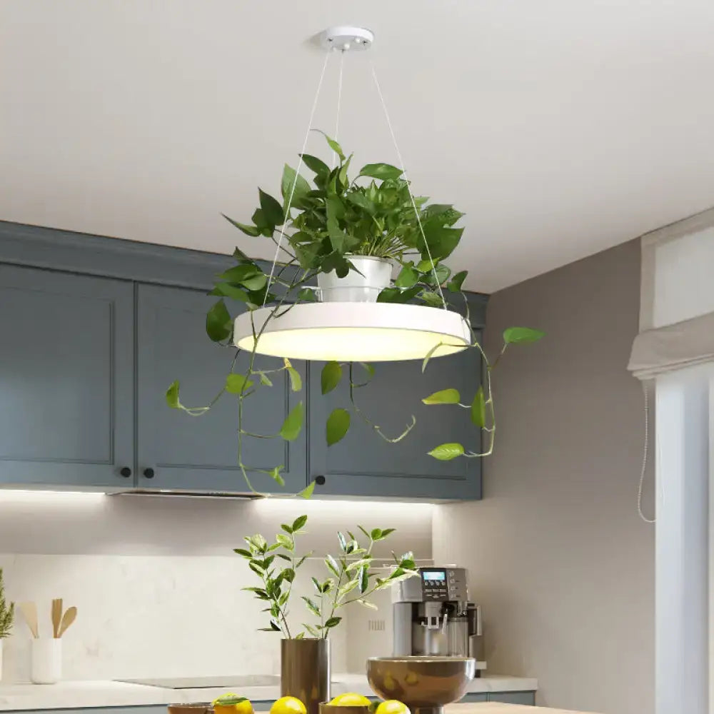 Mint green brooklyn round macaron pendant light with kitchen planter