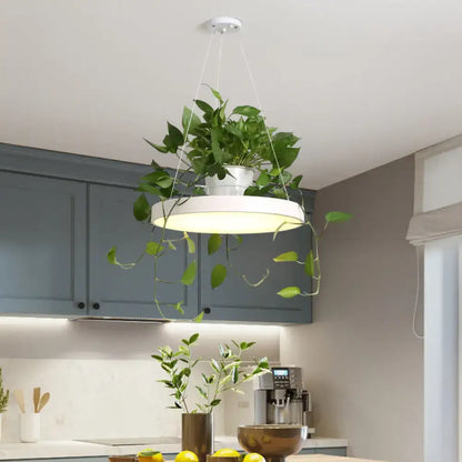 Mint green brooklyn round macaron pendant light with kitchen planter