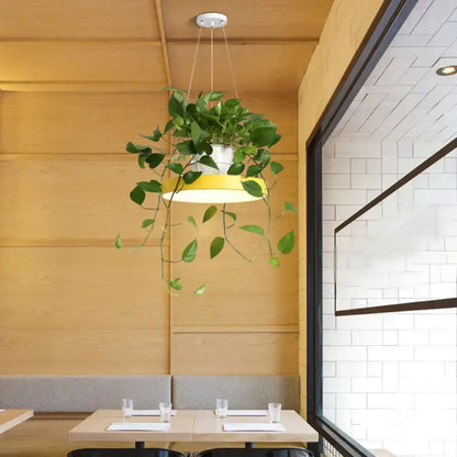 Mint green brooklyn round macaron pendant light with kitchen planter