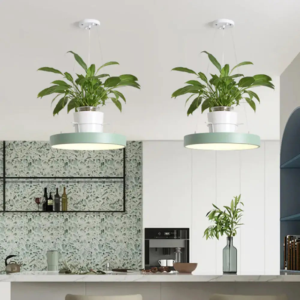 Mint green brooklyn round macaron pendant light with kitchen planter