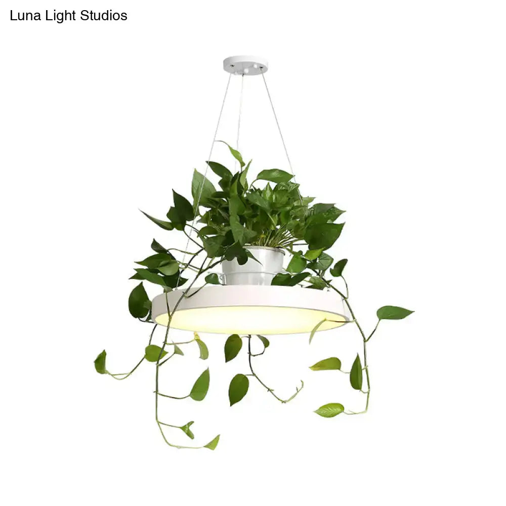 Mint green brooklyn round macaron pendant light with kitchen planter