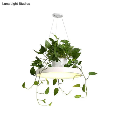 Mint green brooklyn round macaron pendant light with kitchen planter