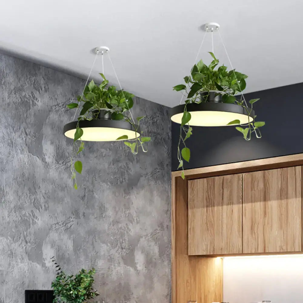 Mint green brooklyn round macaron pendant light with kitchen planter