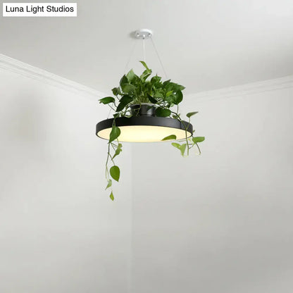 Mint green brooklyn round macaron pendant light with kitchen planter
