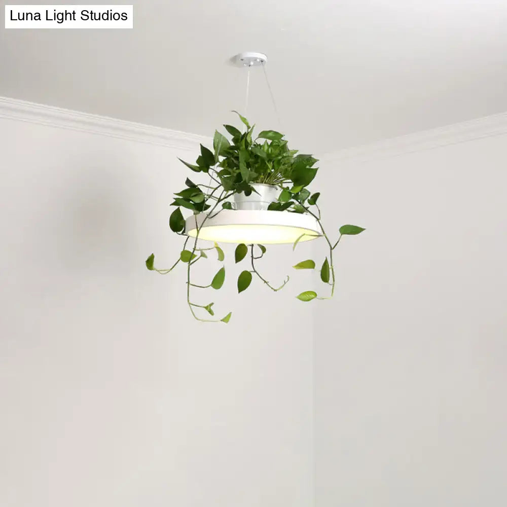 Mint green brooklyn round macaron pendant light with kitchen planter
