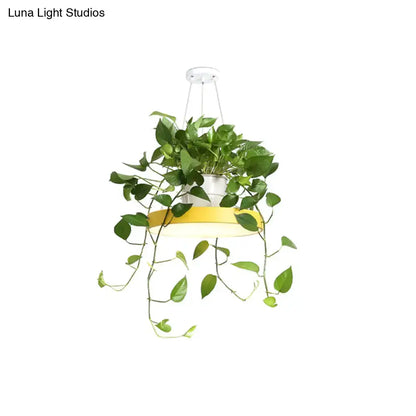 Mint green brooklyn round macaron pendant light with kitchen planter