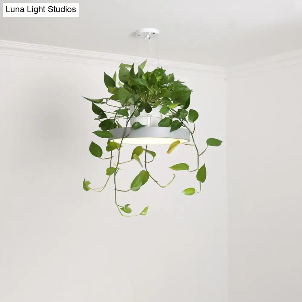 Mint green brooklyn round macaron pendant light with kitchen planter