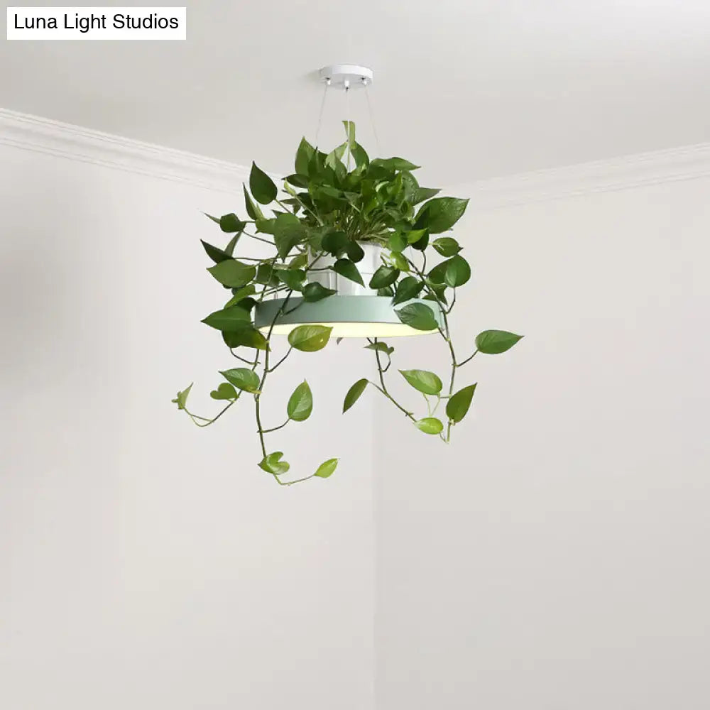 Mint green brooklyn round macaron pendant light with kitchen planter