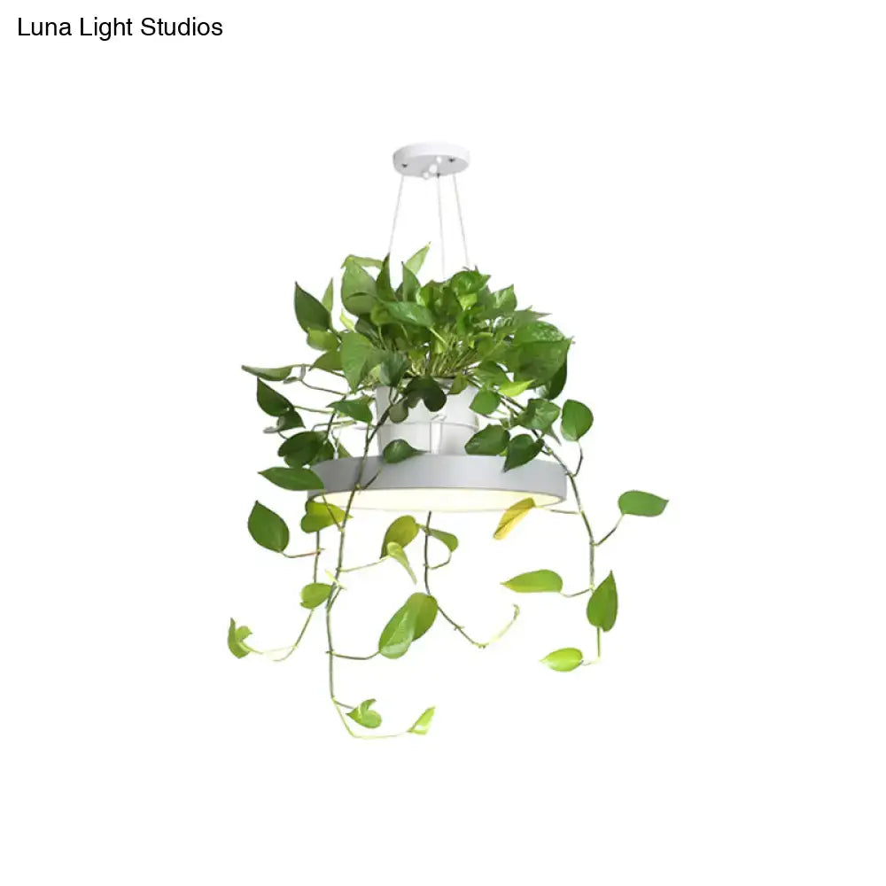 Mint green brooklyn round macaron pendant light with kitchen planter