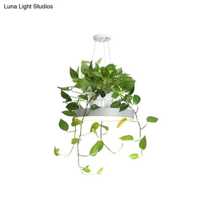 Mint green brooklyn round macaron pendant light with kitchen planter