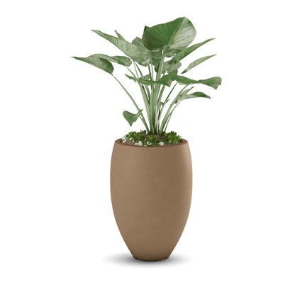 Brandy Planter