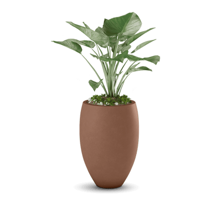 Brandy Planter