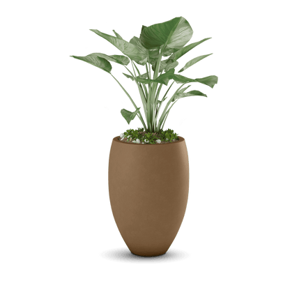 Brandy Planter