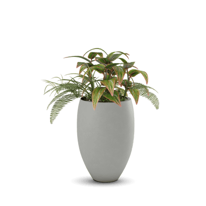 Brandy Planter