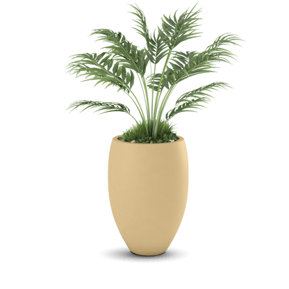 Brandy Planter
