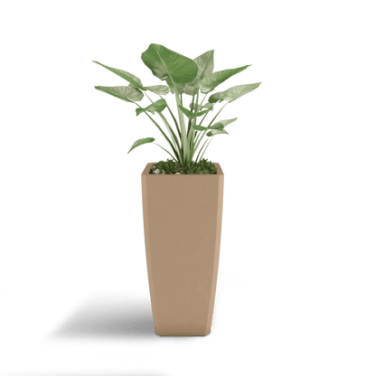 Quartet Planter