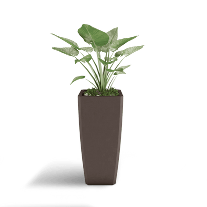 Quartet Planter