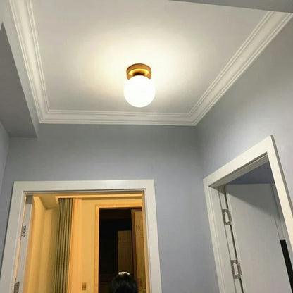 DecorBites™ Modern Acrylic Ball Ceiling Light for Home