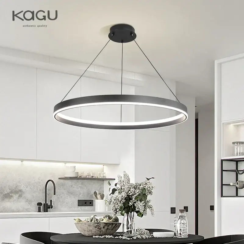 Modern artistic black chandelier living room led pendant light