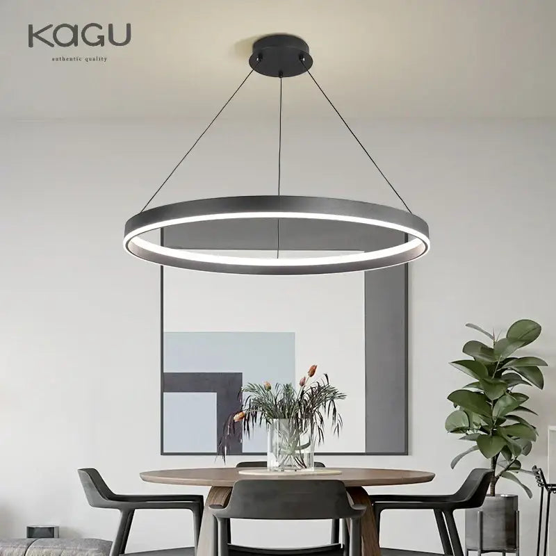 Modern artistic black chandelier living room led pendant light