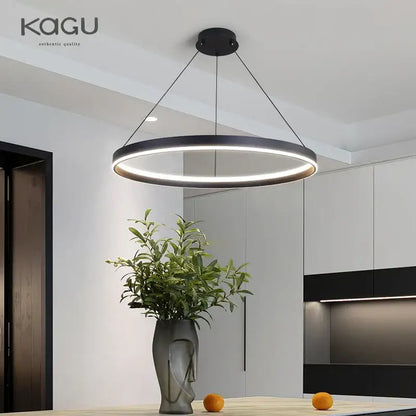 Modern artistic black chandelier living room led pendant light