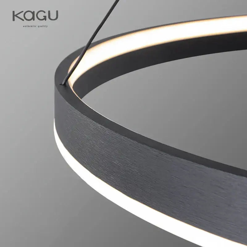 Modern artistic black chandelier living room led pendant light