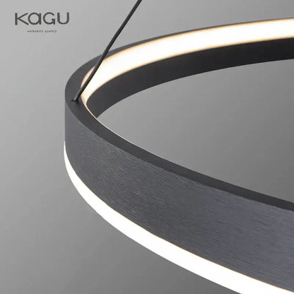 Modern artistic black chandelier living room led pendant light