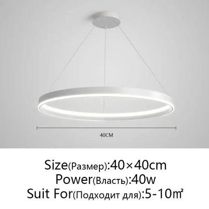 Modern artistic black chandelier living room led pendant light