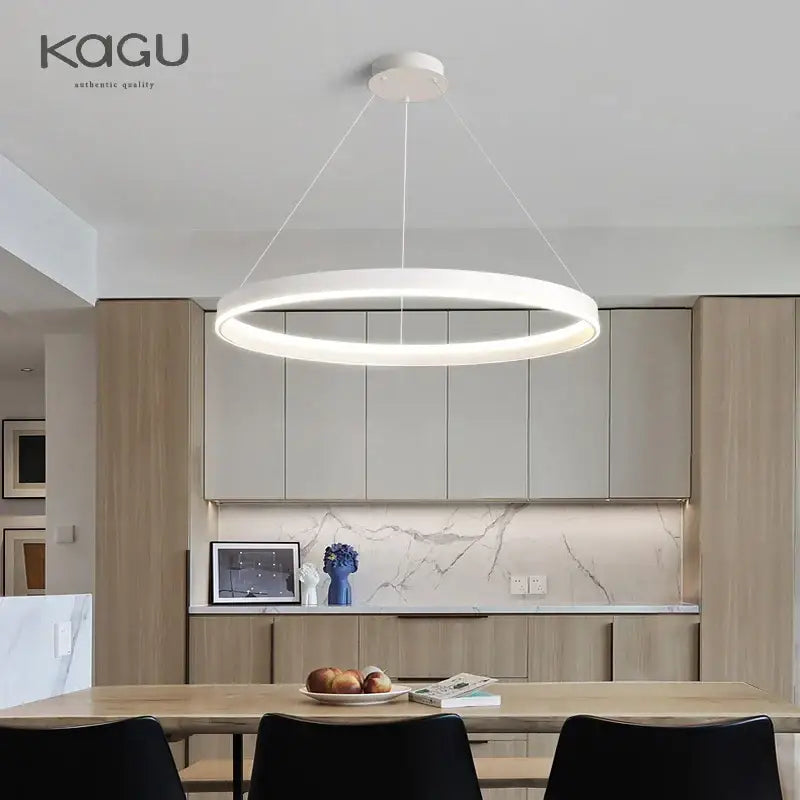 Modern artistic black chandelier living room led pendant light