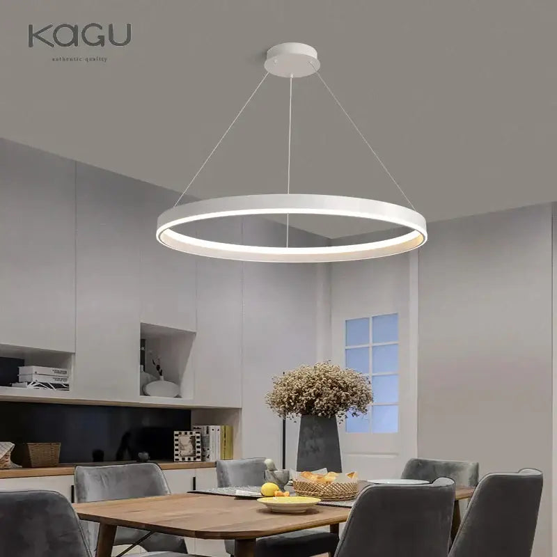 Modern artistic black chandelier living room led pendant light