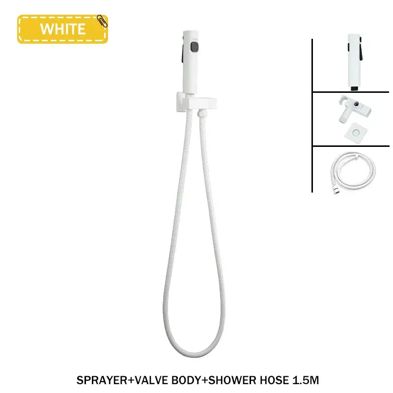 Modern bidet faucet set with coiled hose for bathroom
