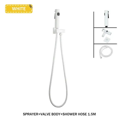 Modern bidet faucet set with coiled hose for bathroom