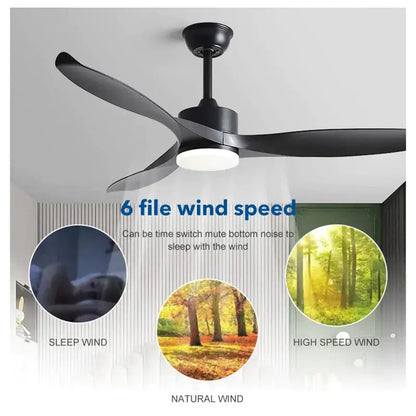 Modern black 52 inch pure copper dc motor ceiling fan living room