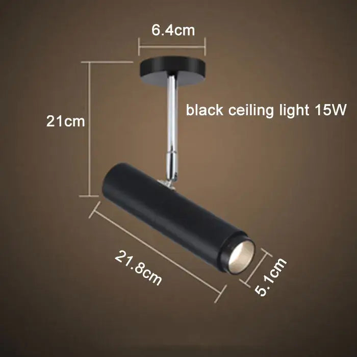 Modern black adjustable focus track lights commercial gallery light