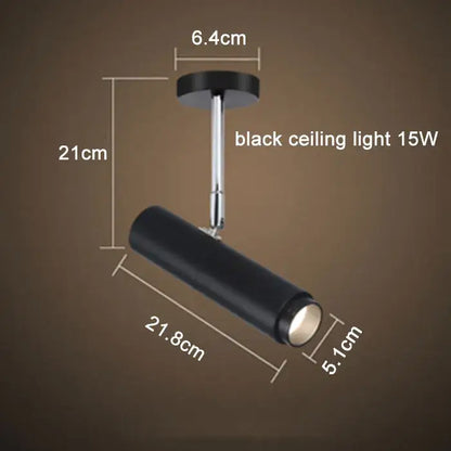 Modern black adjustable focus track lights commercial gallery light