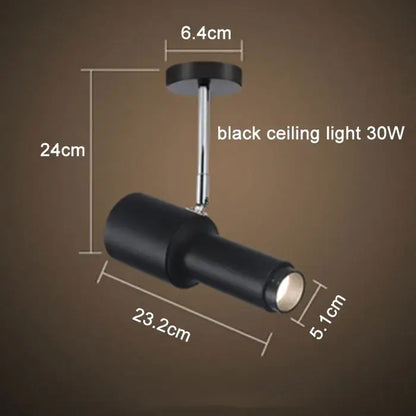 Modern black adjustable focus track lights commercial gallery light