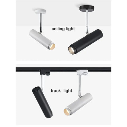 Modern black adjustable focus track lights commercial gallery light
