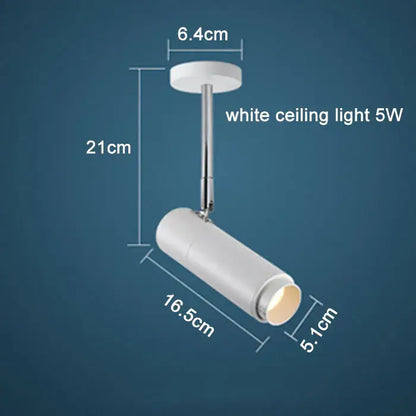 Modern black adjustable focus track lights commercial gallery light