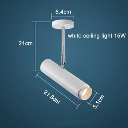Modern black adjustable focus track lights commercial gallery light