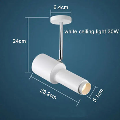 Modern black adjustable focus track lights commercial gallery light