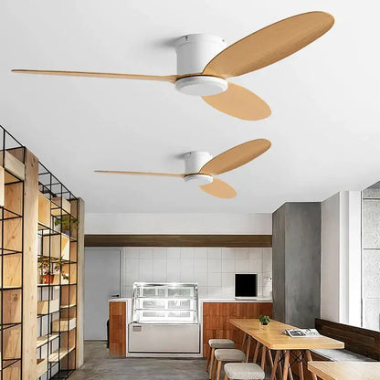 Modern black and brown ceiling fan with remote control living room
