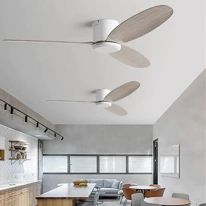 Modern black and brown ceiling fan with remote control living room