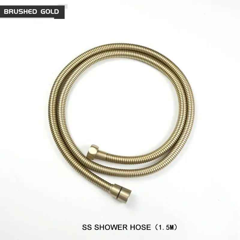 Modern black and brushed golden handheld shower head bathroom jet