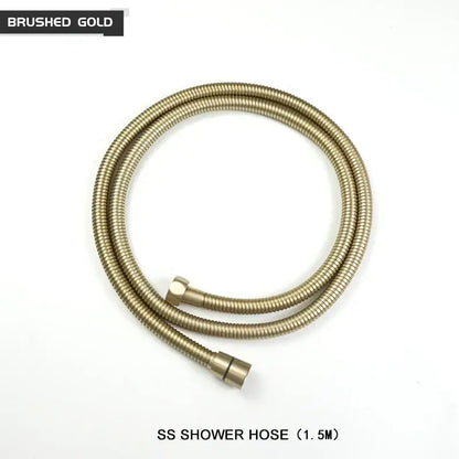 Modern black and brushed golden handheld shower head bathroom jet