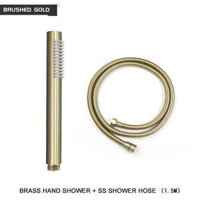 Modern black and brushed golden handheld shower head bathroom jet