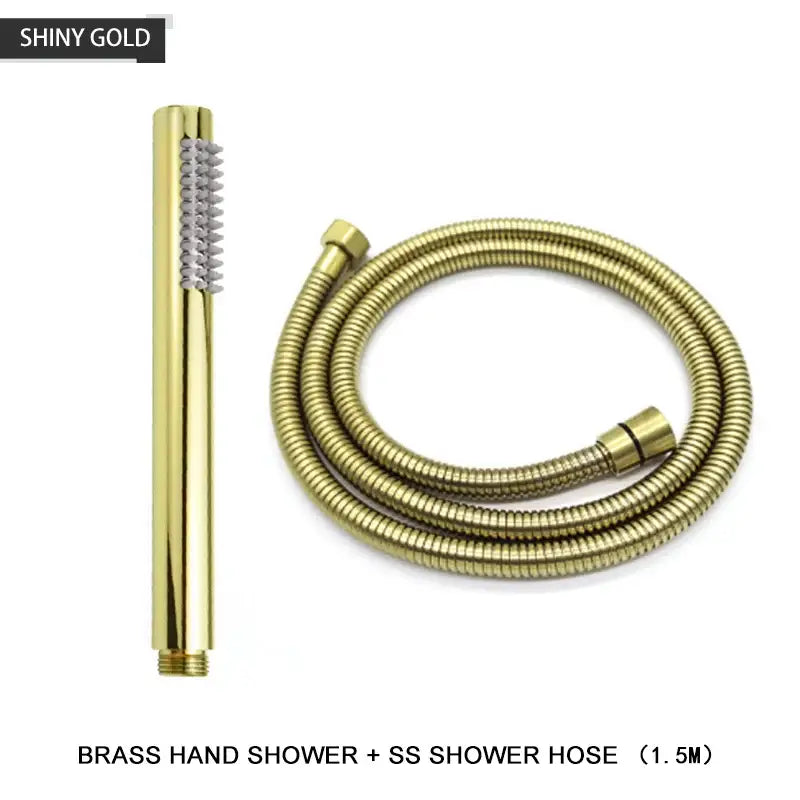 Modern black and brushed golden handheld shower head bathroom jet