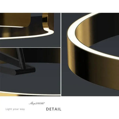 Modern black and gold circular luminescence led floor lamp living room