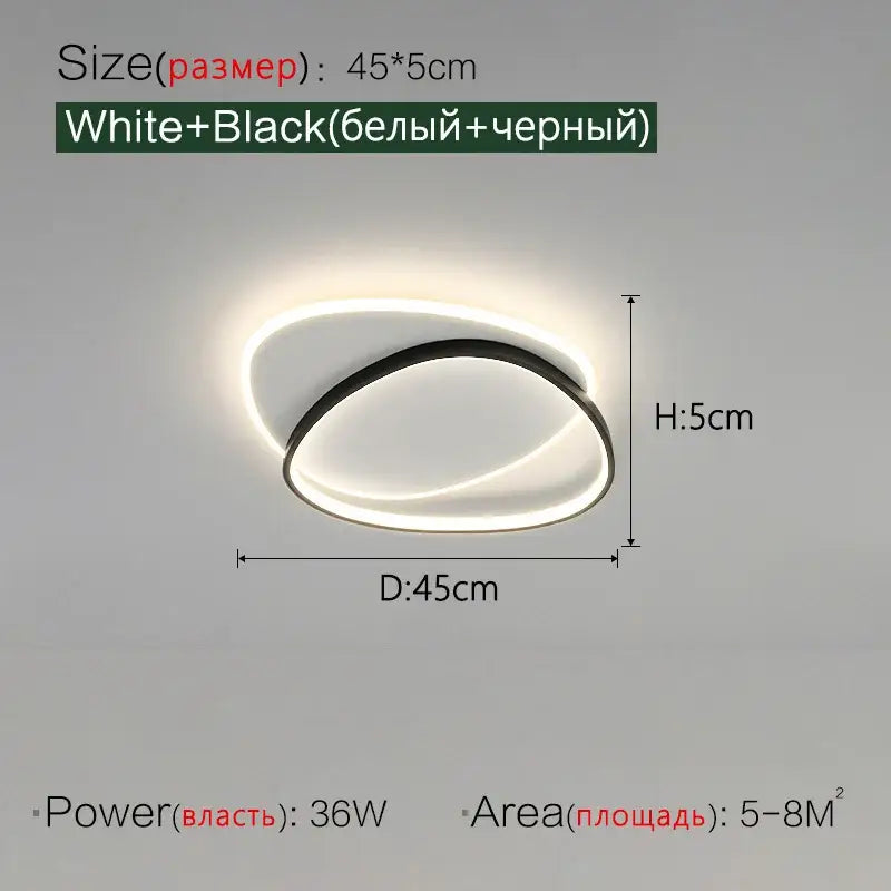 Modern black and white led ceiling lamp for bedroom