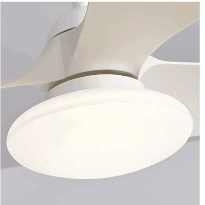 Modern black ceiling fan lamp for living room with remote control
